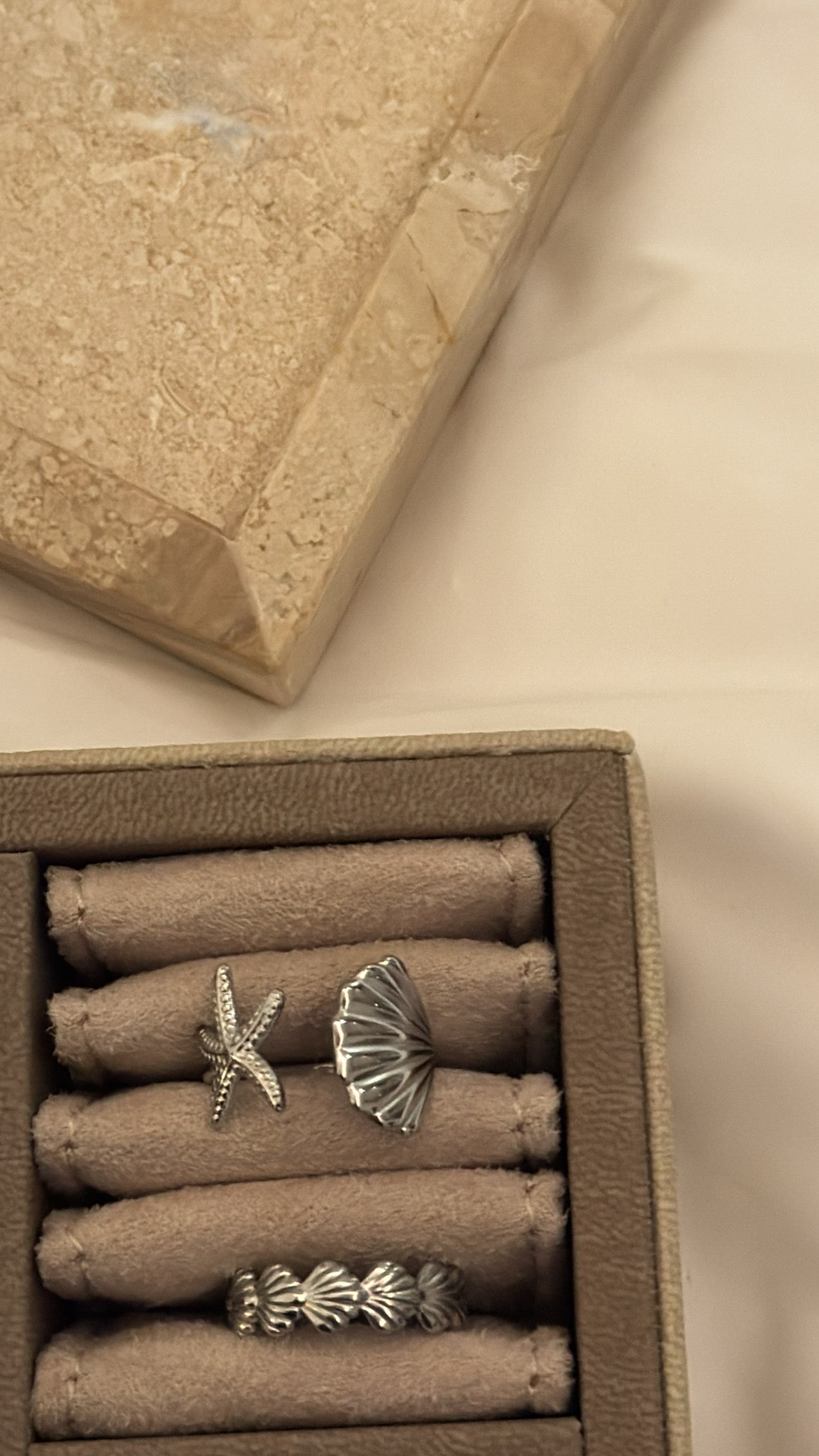 Lumière Ring – Shell Band