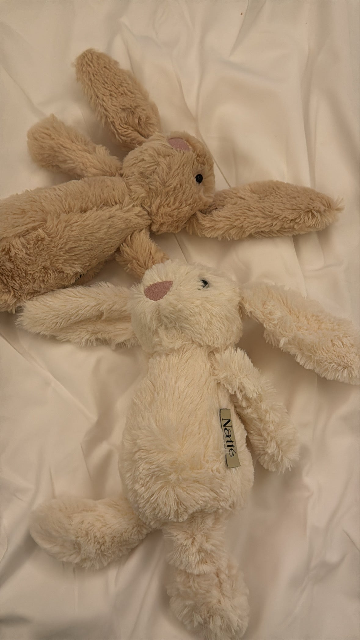 Fluffy Bunny - limited stock